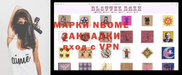 гашик Алексеевка