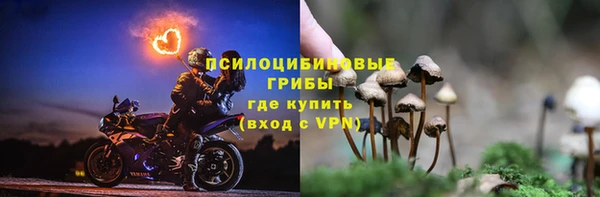 гашик Алексеевка