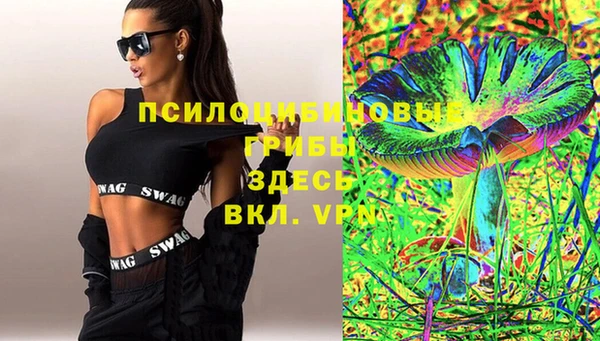 гашик Алексеевка