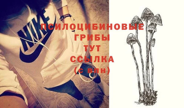наркотики Алексин