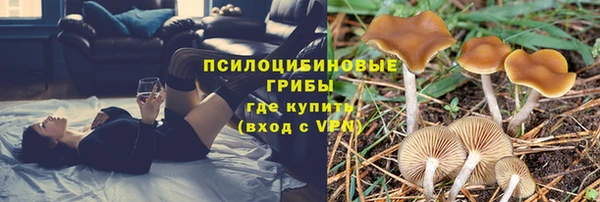 экстази Карпинск