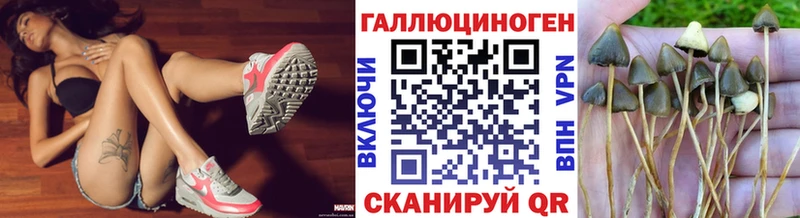 Псилоцибиновые грибы Cubensis  продажа наркотиков  Ржев 